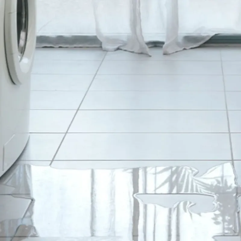 Appliance Leak Cleanup in Ashfield, MA