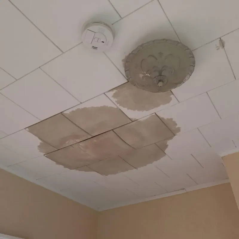 Ceiling Water Damage Repair in Ashfield, MA