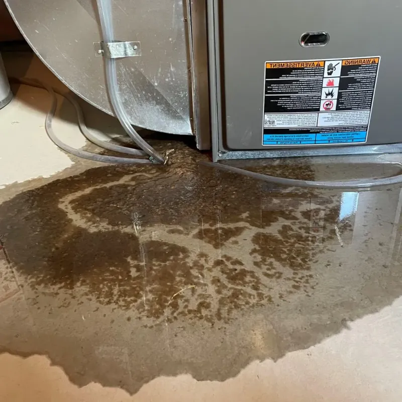 Pipe Burst and Leak Restoration in Ashfield, MA