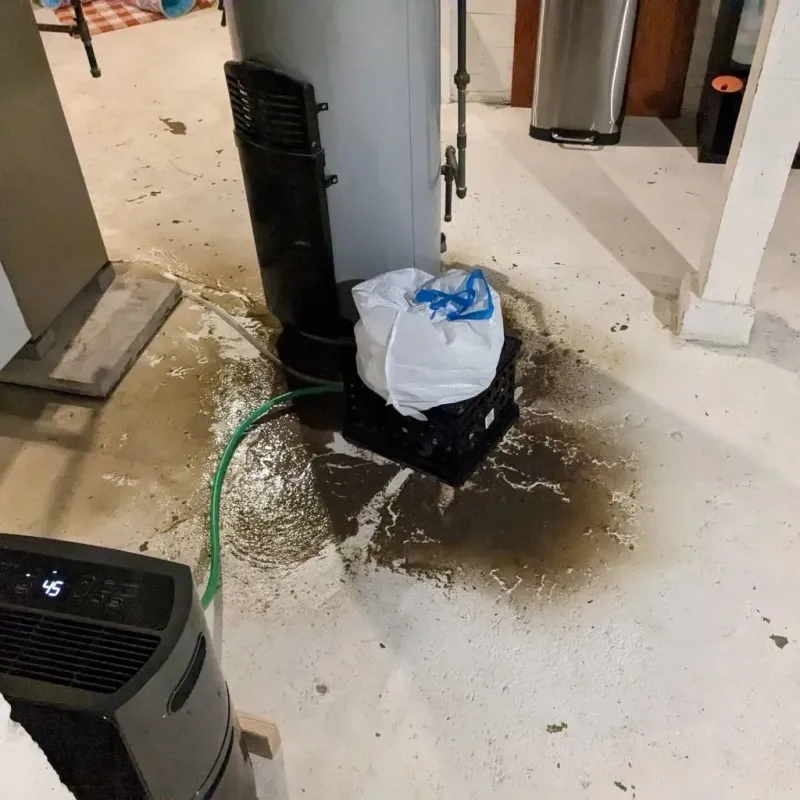 Sewage Backup Cleanup Service in Ashfield, MA